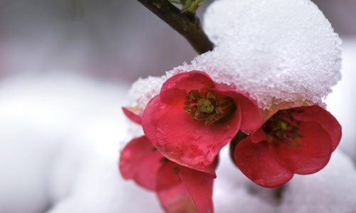 Ημερήσιες Προβλέψεις για όλα τα Ζώδια 09/02