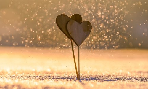 Ερωτικές Προβλέψεις για όλα τα Ζώδια, 15/02