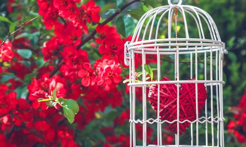 Ερωτικές Προβλέψεις για όλα τα Ζώδια, 05/03