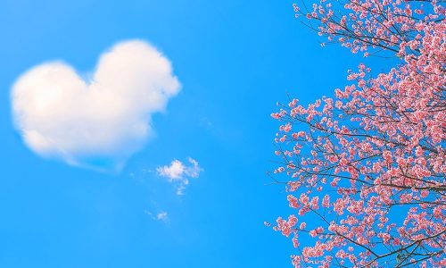 Ερωτικές Προβλέψεις για όλα τα Ζώδια, 09/03