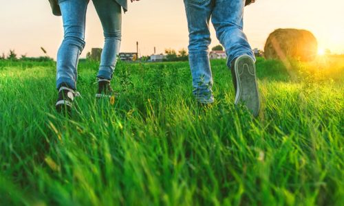 Ερωτικές Προβλέψεις για όλα τα Ζώδια, 13/03