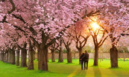 Ερωτικές Προβλέψεις για όλα τα Ζώδια, 20/03