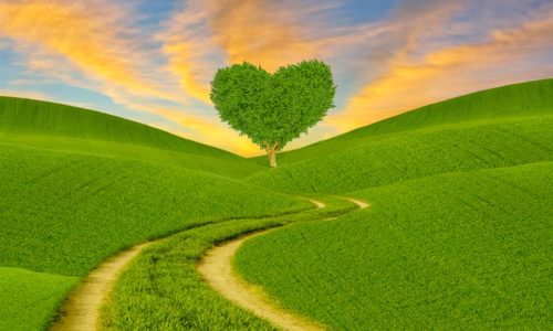 Ερωτικές Προβλέψεις για όλα τα Ζώδια, 25/03