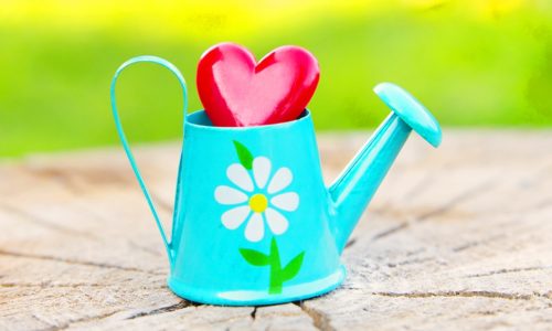 Ερωτικές Προβλέψεις για όλα τα Ζώδια, 31/3