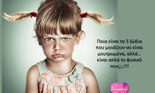 Ποια είναι τα 5 ζώδια που μοιάζουν μουτρωμένα αλλά... είναι απλά το φυσικό τους;