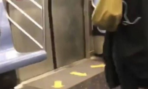 Πανικός σε βαγόνι του μετρό: Έντρομοι οι επιβάτες από τον... απρόσκλητο επισκέπτη! (vid)