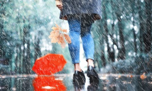 Ημερήσιες Προβλέψεις για όλα τα Ζώδια 01/11