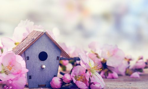 Διάβασε ΔΩΡΕΑΝ την προσωπική σου πρόβλεψη, για σήμερα 14/04/2020