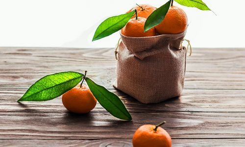 Ημερήσιες Προβλέψεις για όλα τα Ζώδια 03/12