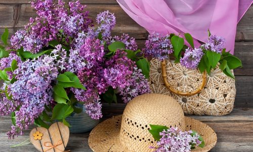 Ημερήσιες Προβλέψεις για όλα τα Ζώδια 07/04