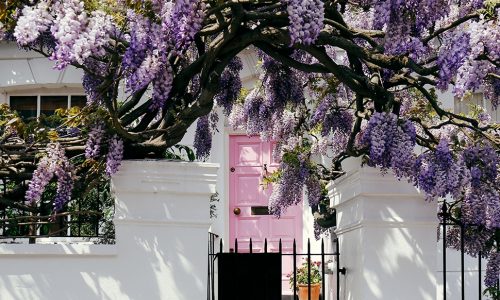 Ημερήσιες Προβλέψεις για όλα τα Ζώδια 13/05