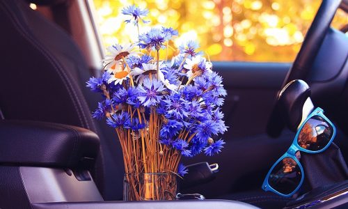 Ημερήσιες Προβλέψεις για όλα τα Ζώδια 16/05