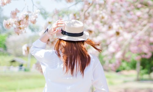 Ημερήσιες Προβλέψεις για όλα τα Ζώδια 19/05