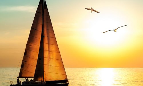 Ημερήσιες Προβλέψεις για όλα τα Ζώδια 16/06