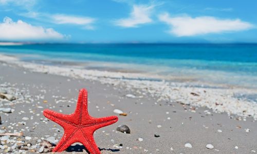 Ημερήσιες Προβλέψεις για όλα τα Ζώδια, 01/08