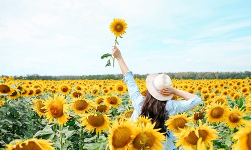 Ημερήσιες Προβλέψεις για όλα τα Ζώδια, 11/07