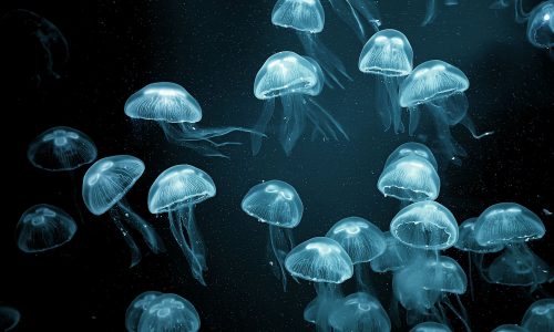 Διάβασε την προσωπική σου πρόβλεψη, για σήμερα 16/07/2025