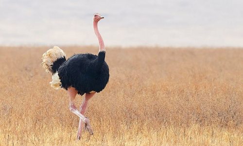 Διάβασε την προσωπική σου πρόβλεψη, για σήμερα 22/07/2025