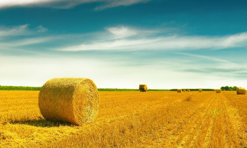 Διάβασε την προσωπική σου πρόβλεψη, για σήμερα 11/08/2025