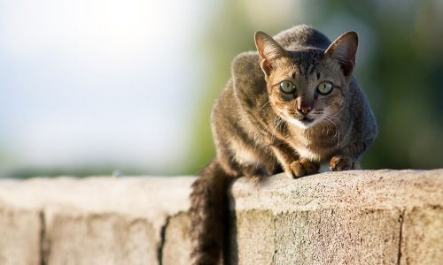 Διάβασε την προσωπική σου πρόβλεψη, για σήμερα 04/08/2025