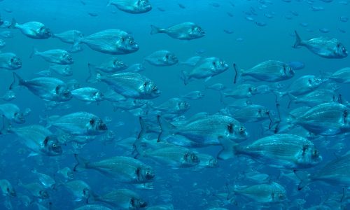Διάβασε την προσωπική σου πρόβλεψη, για σήμερα 20/08/2025