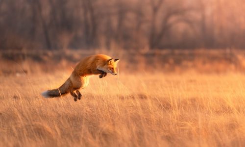 Διάβασε την προσωπική σου πρόβλεψη, για σήμερα 30/08/2025