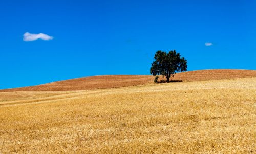 Διάβασε την προσωπική σου πρόβλεψη, για σήμερα 01/08/2025