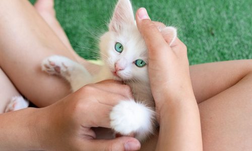 2 ζώδια θα νιώσουν ότι δεν παίρνουν αρκετή αγάπη, σήμερα 30/07 – Δες, αν είσαι μέσα!