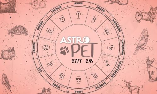 AstroPet από 27/07 έως 02/08: Εβδομαδιαίες προβλέψεις για το κατοικίδιό σου