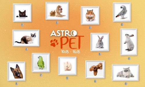 AstroPet από 10/08 έως 16/08: Εβδομαδιαίες προβλέψεις για το κατοικίδιό σου