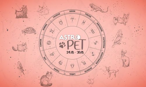 AstroPet από 24/08 έως 30/08: Εβδομαδιαίες προβλέψεις για το κατοικίδιό σου