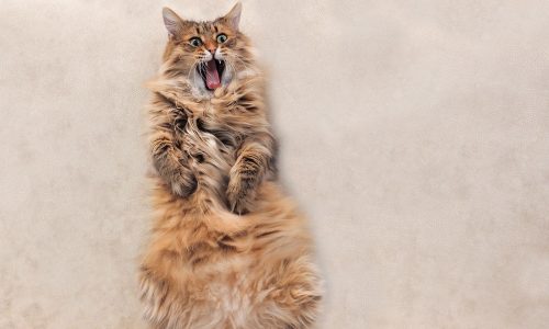 Ζώδια σήμερα 24/08: Χωρίς αιτία κι αφορμή