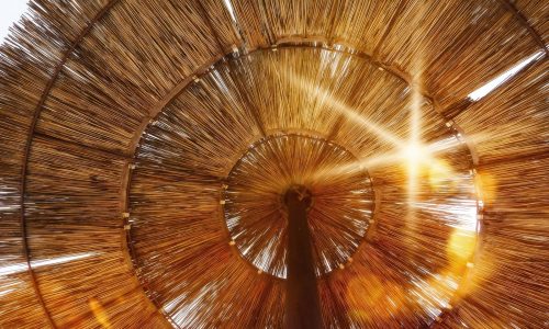 Ζώδια Σήμερα 19/08: Με έντονο το αίσθημα της ασφάλειας και της προστασίας