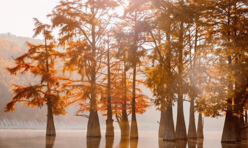 Διάβασε την προσωπική σου πρόβλεψη, για σήμερα 11/09/2025