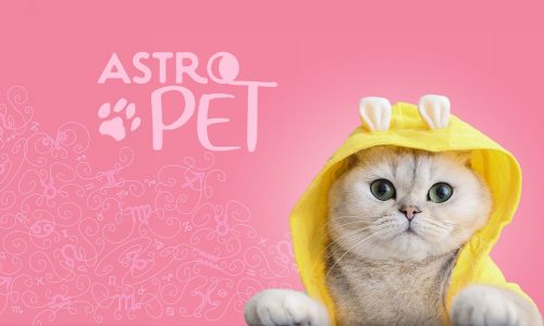 AstroPet από 16/09 έως 22/09: Εβδομαδιαίες προβλέψεις για το κατοικίδιό σου