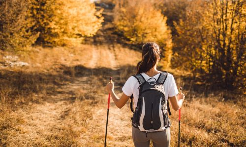 Ημερήσιες Προβλέψεις για όλα τα Ζώδια, 30/09: Οι οργανωμένες κινήσεις φέρνουν ισορροπία