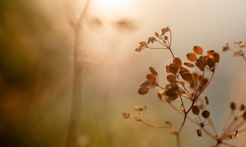 Διάβασε την προσωπική σου πρόβλεψη, για σήμερα 21/09/2025