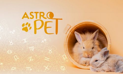 AstroPet από 23/09 έως 29/09: Εβδομαδιαίες προβλέψεις για το κατοικίδιό σου