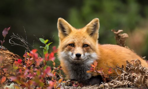 Διάβασε την προσωπική σου πρόβλεψη, για σήμερα 29/10/2025