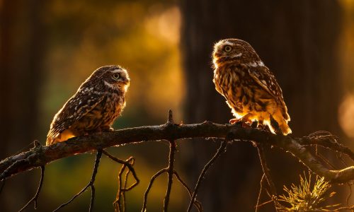 Διάβασε την προσωπική σου πρόβλεψη, για σήμερα 16/10/2025