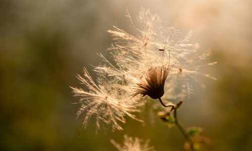 Διάβασε την προσωπική σου πρόβλεψη, για σήμερα 19/10/2025