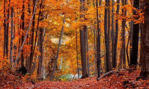 Διάβασε την προσωπική σου πρόβλεψη, για σήμερα 28/10/2025