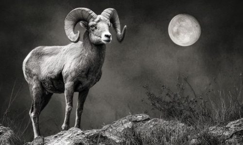 Ζώδια σήμερα 07/10: Πανσέληνος στον Κριό – Αντιμαχόμενες παρατάξεις