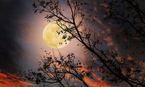 Πανσέληνος Supermoon στον Κριό 2025: Ξαφνικές Αποκαλύψεις και Μεγάλες Αλλαγές για Κάθε Ζώδιο!