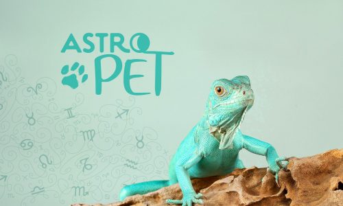 AstroPet από 30/09 έως 06/10: Εβδομαδιαίες προβλέψεις για το κατοικίδιό σου