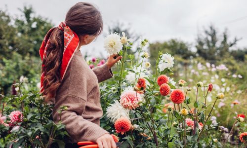 Ημερήσιες Προβλέψεις για όλα τα Ζώδια, 02/11: Μια ημέρα γεμάτη εξελίξεις