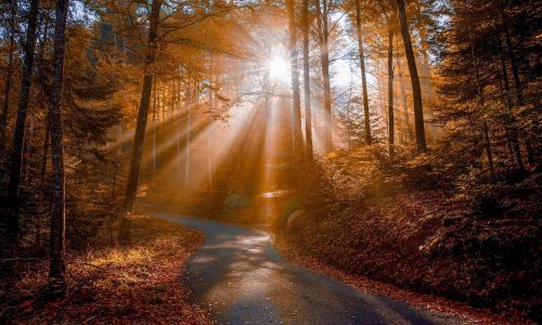 Διάβασε την προσωπική σου πρόβλεψη, για σήμερα 07/11/2025