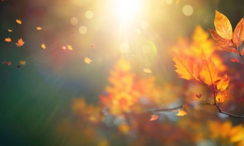 Διάβασε την προσωπική σου πρόβλεψη, για σήμερα 03/11/2025