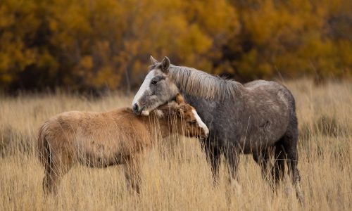 Διάβασε την προσωπική σου πρόβλεψη, για σήμερα 04/11/2025