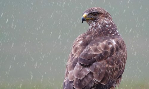 Διάβασε την προσωπική σου πρόβλεψη, για σήμερα 06/11/2025